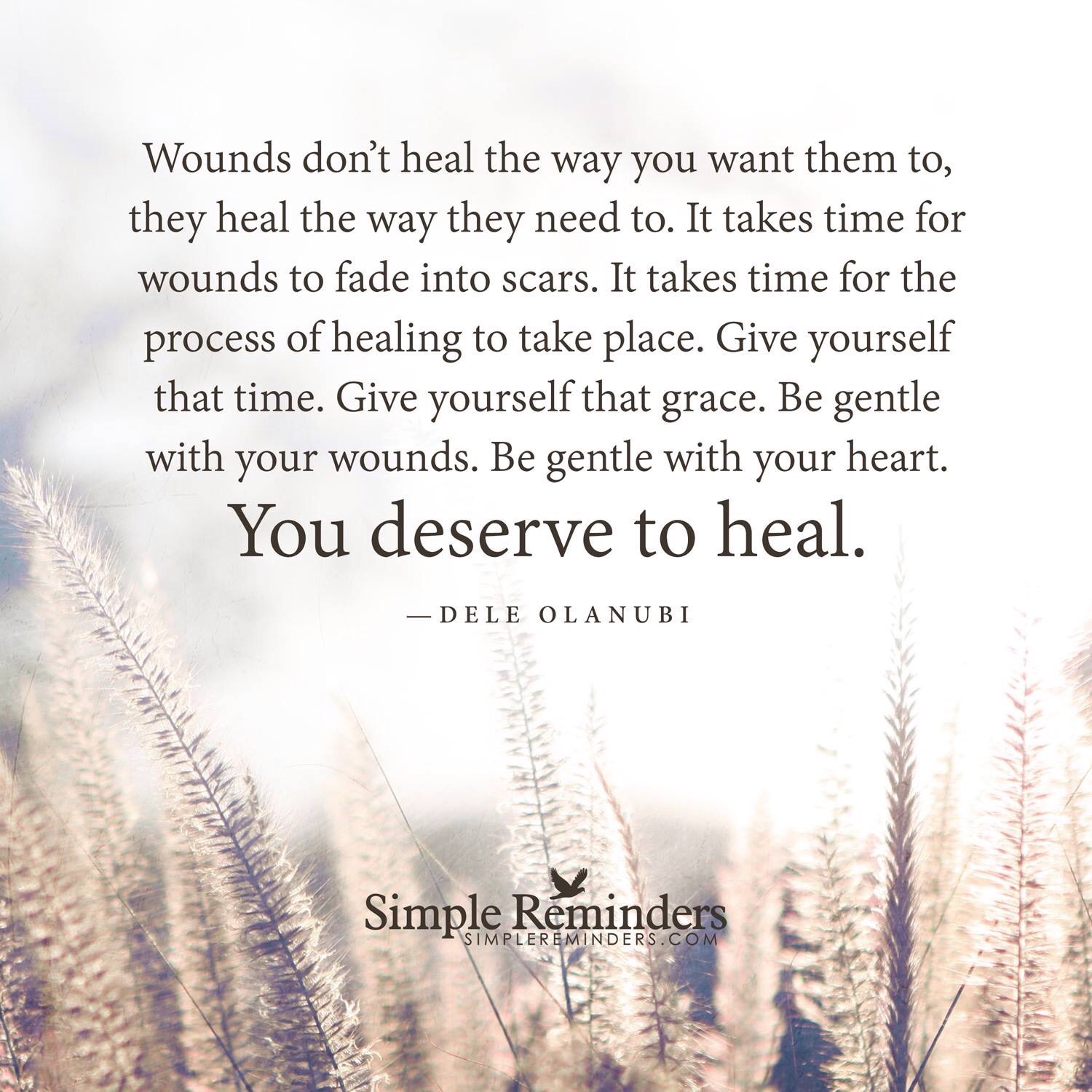 Healing Takes Time  Reluctantly Submissive and Happily 